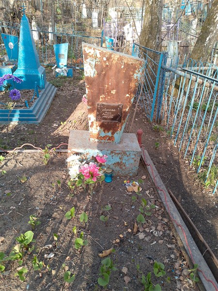 Лосева Дарья Романовна