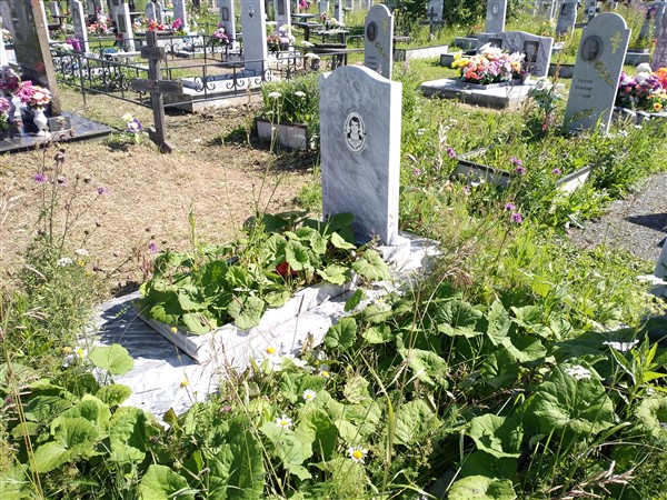 Мезянкин Геннадий Викторович