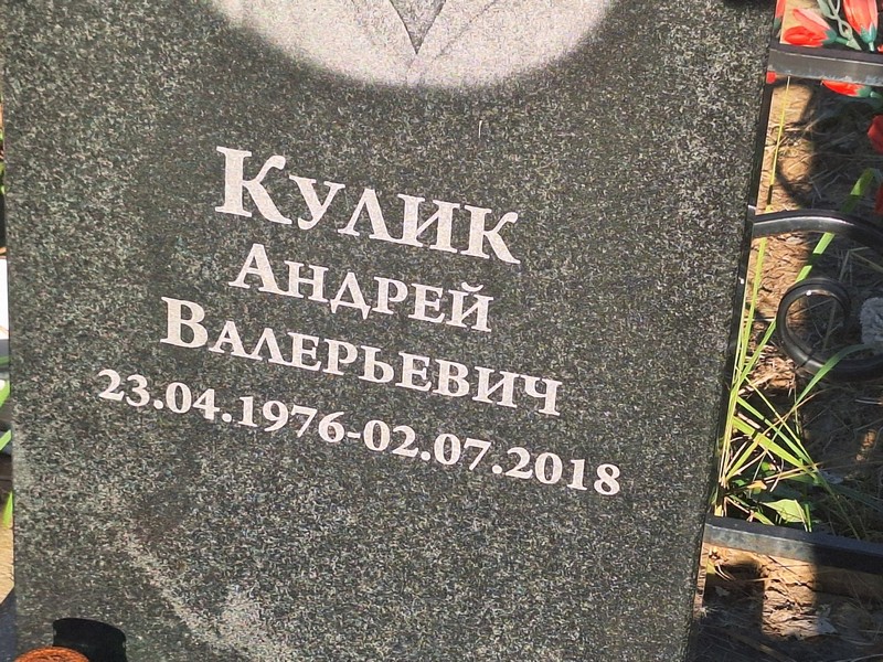 Кулик