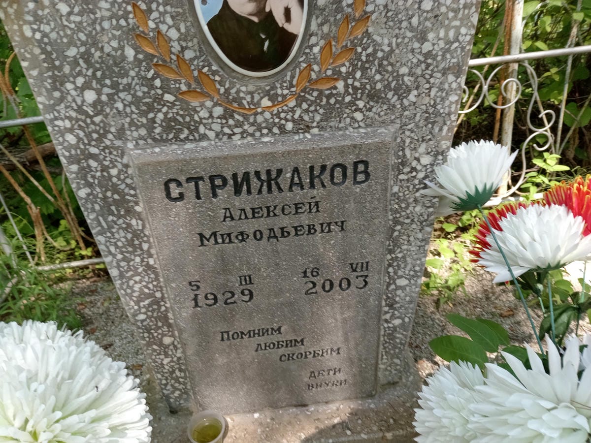 Стрижаков Алексей Мифодьевич