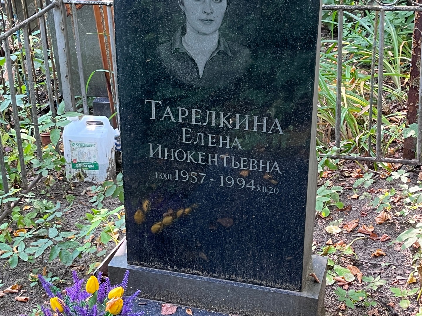 Тарелкина