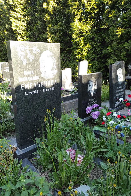 Емельянова Ольга Васильевна
