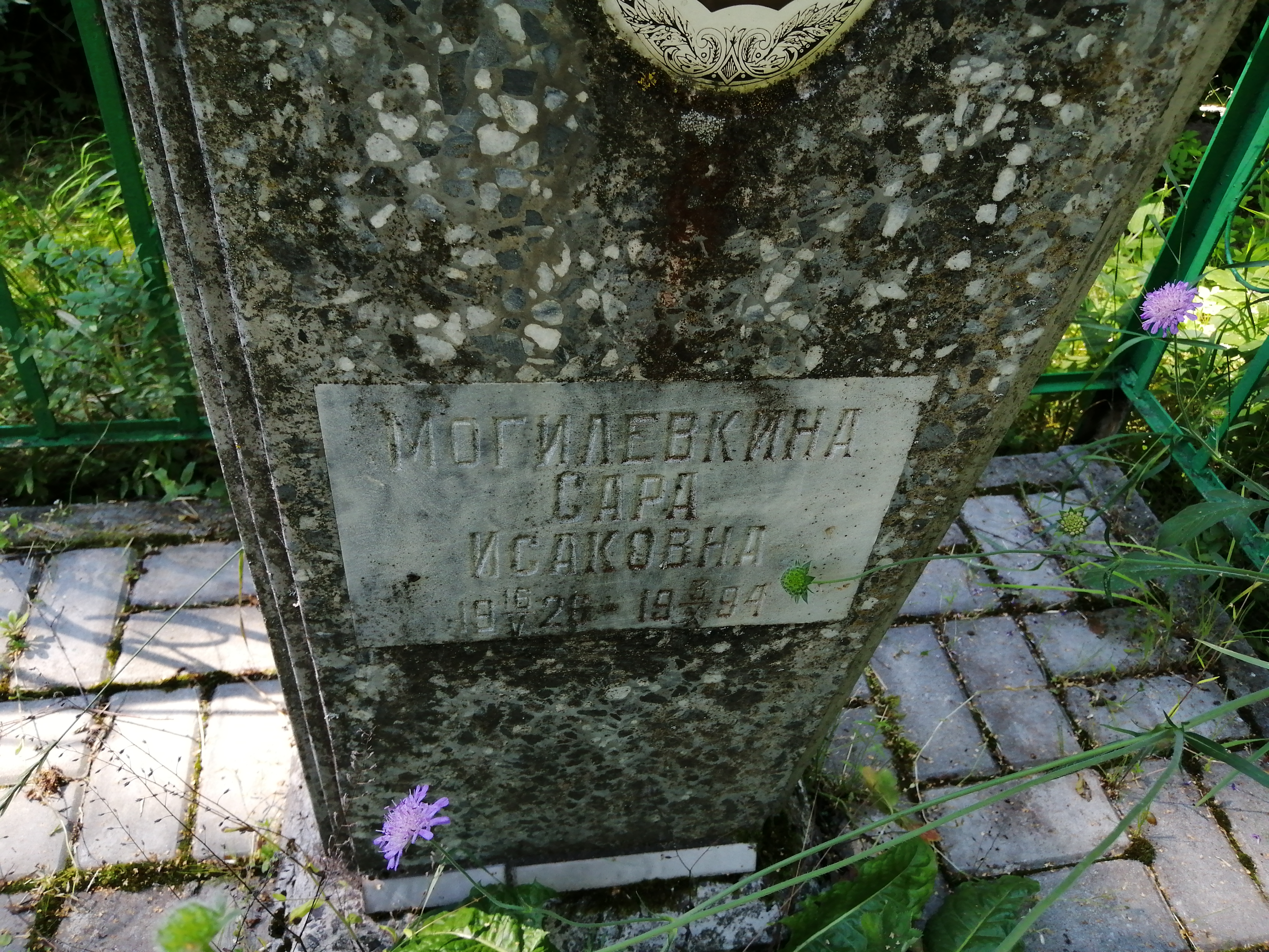 Могилевкина Сара Исаковна
