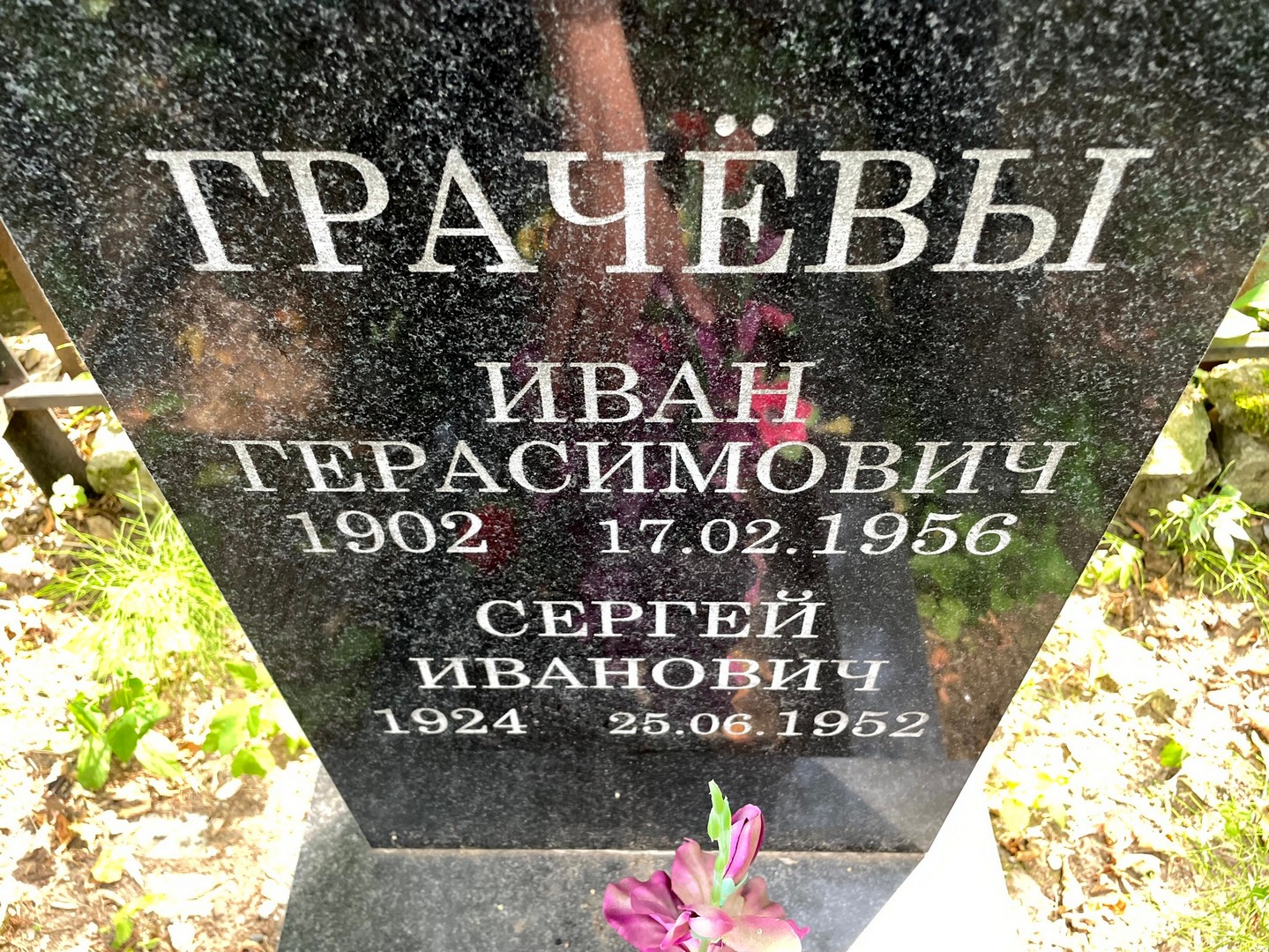 Грачев