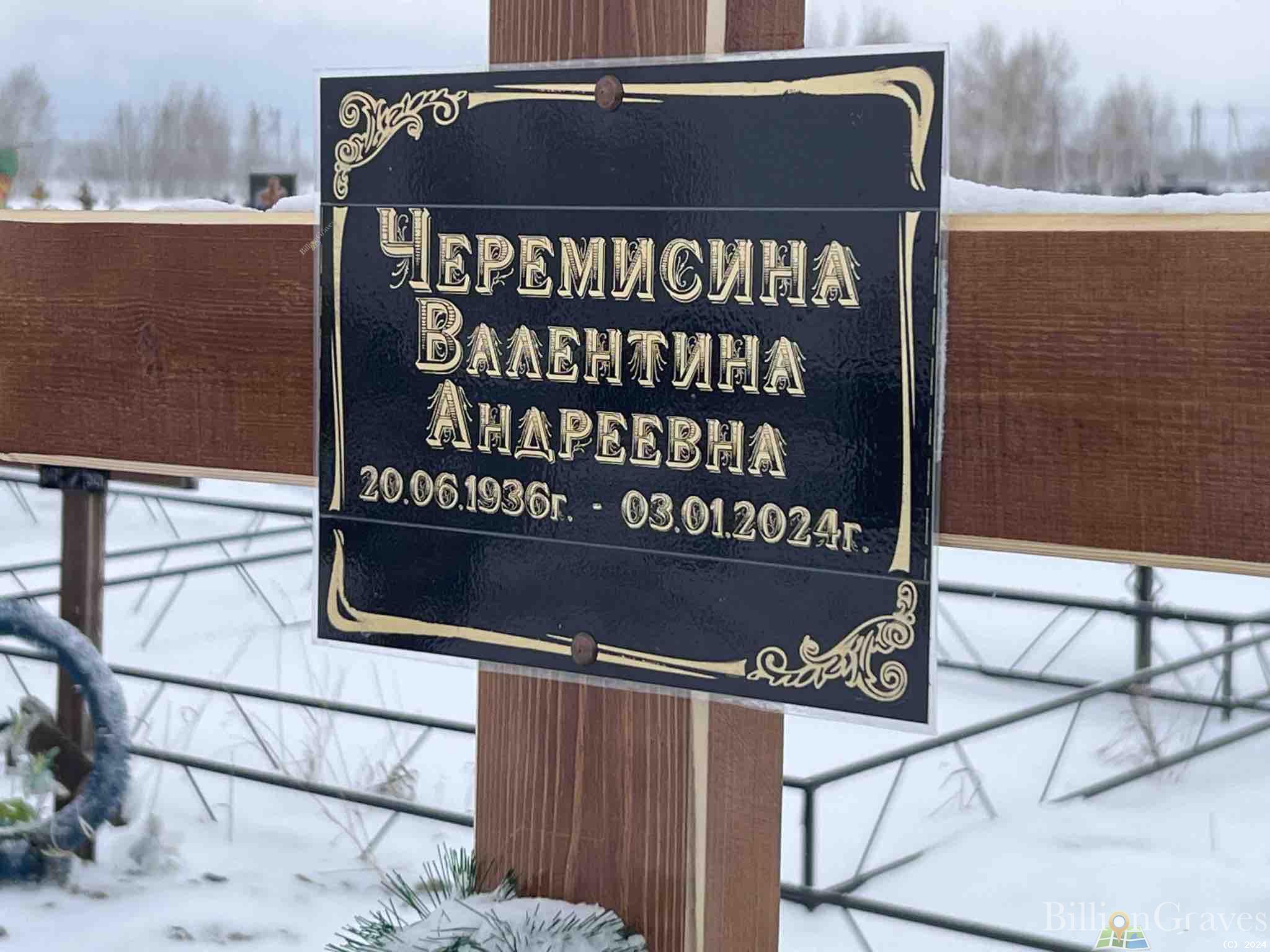 Черемисина Валентина Андреевна