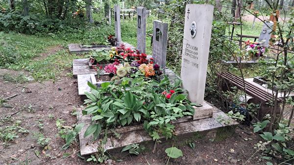 Стихин Владимир Борисович