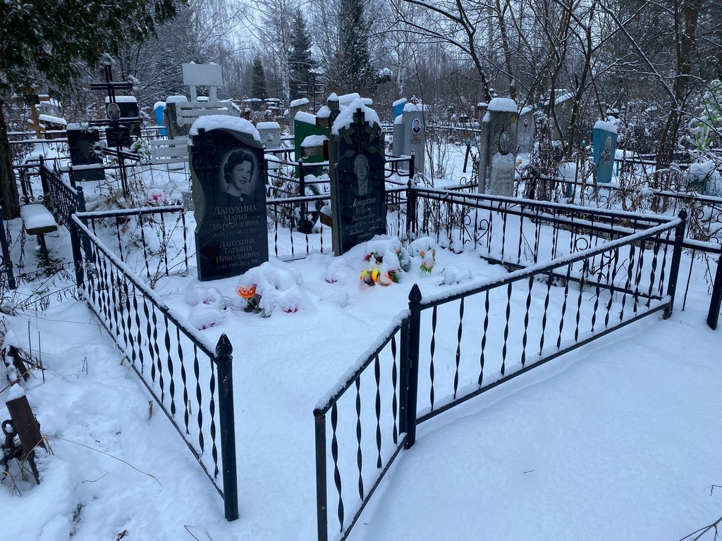 Лапухин Георгий Васильевич