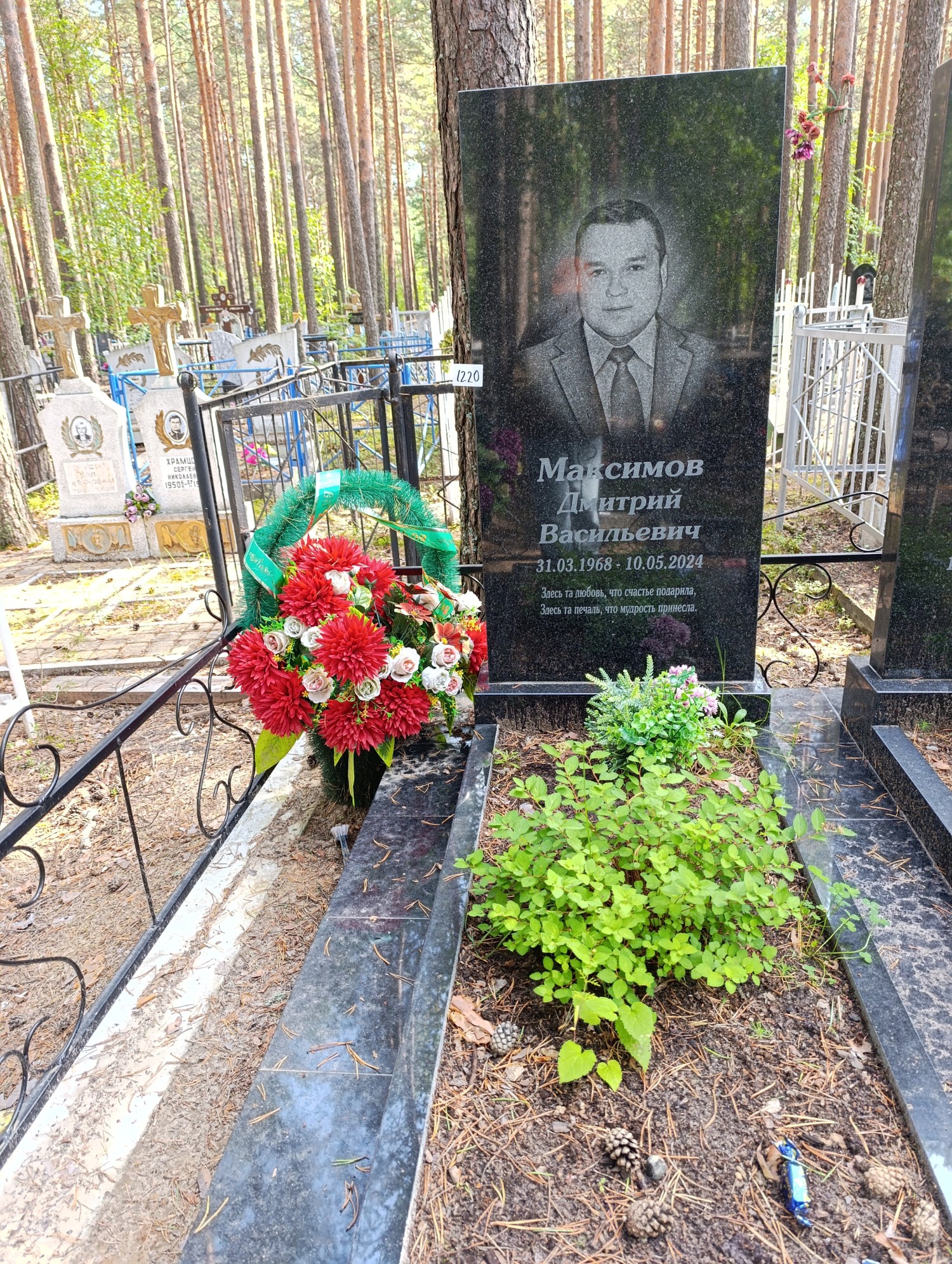 Максимов Дмитрий Васильевич