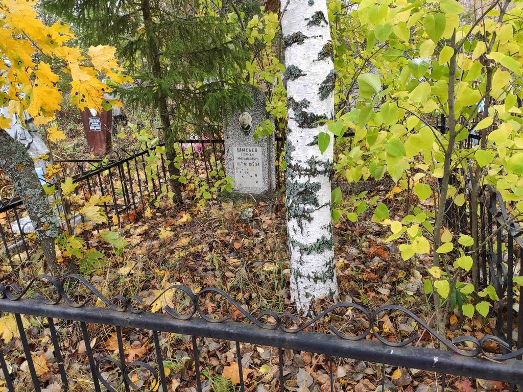 Шмелев Герман Михайлович