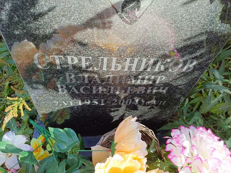 Стрельников