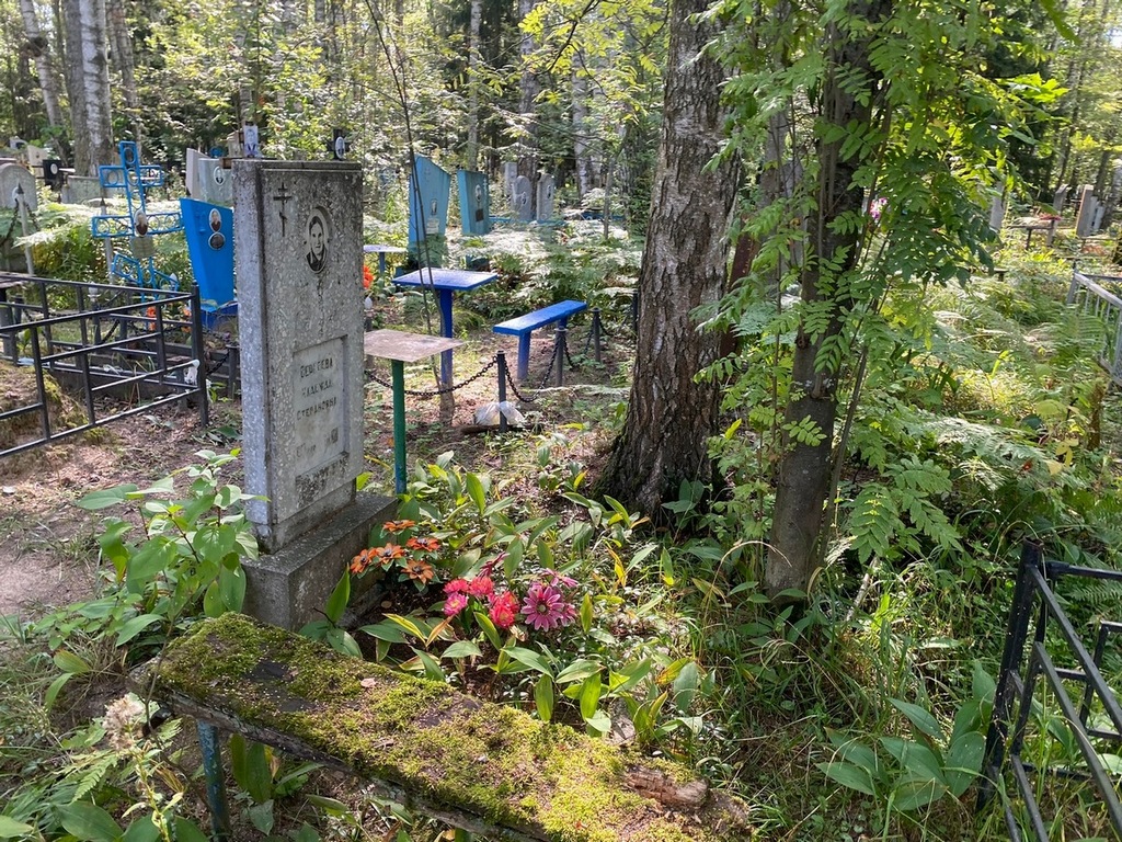 Сергеева Надежда Степановна