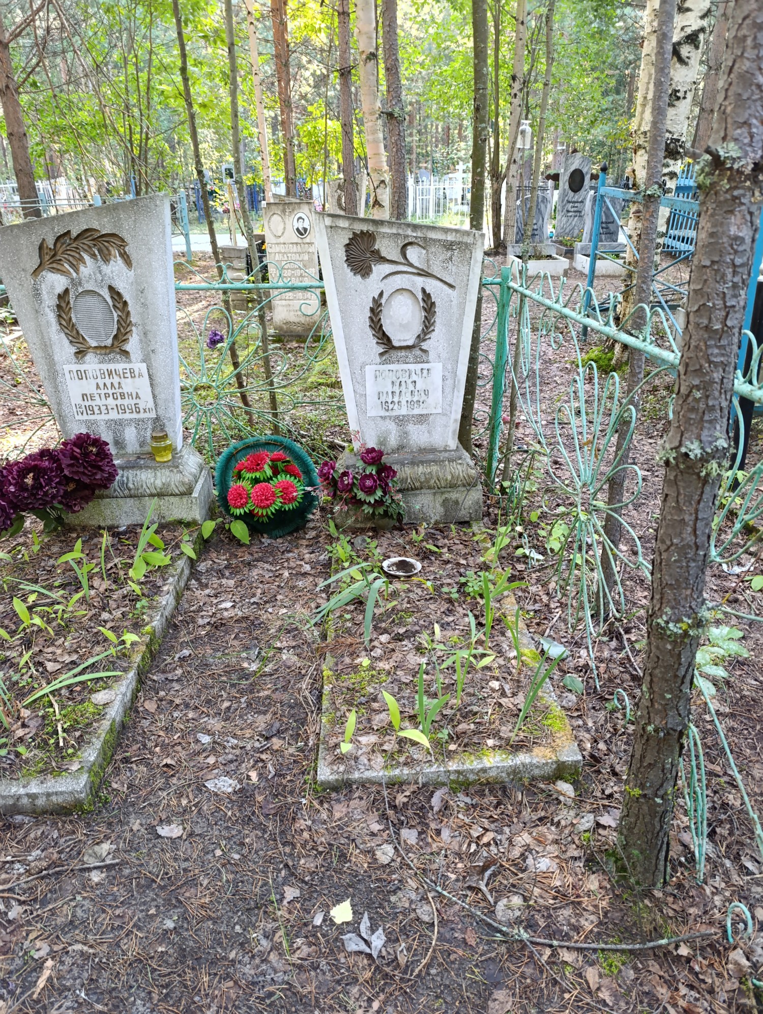 Поповичев Илья Павлович