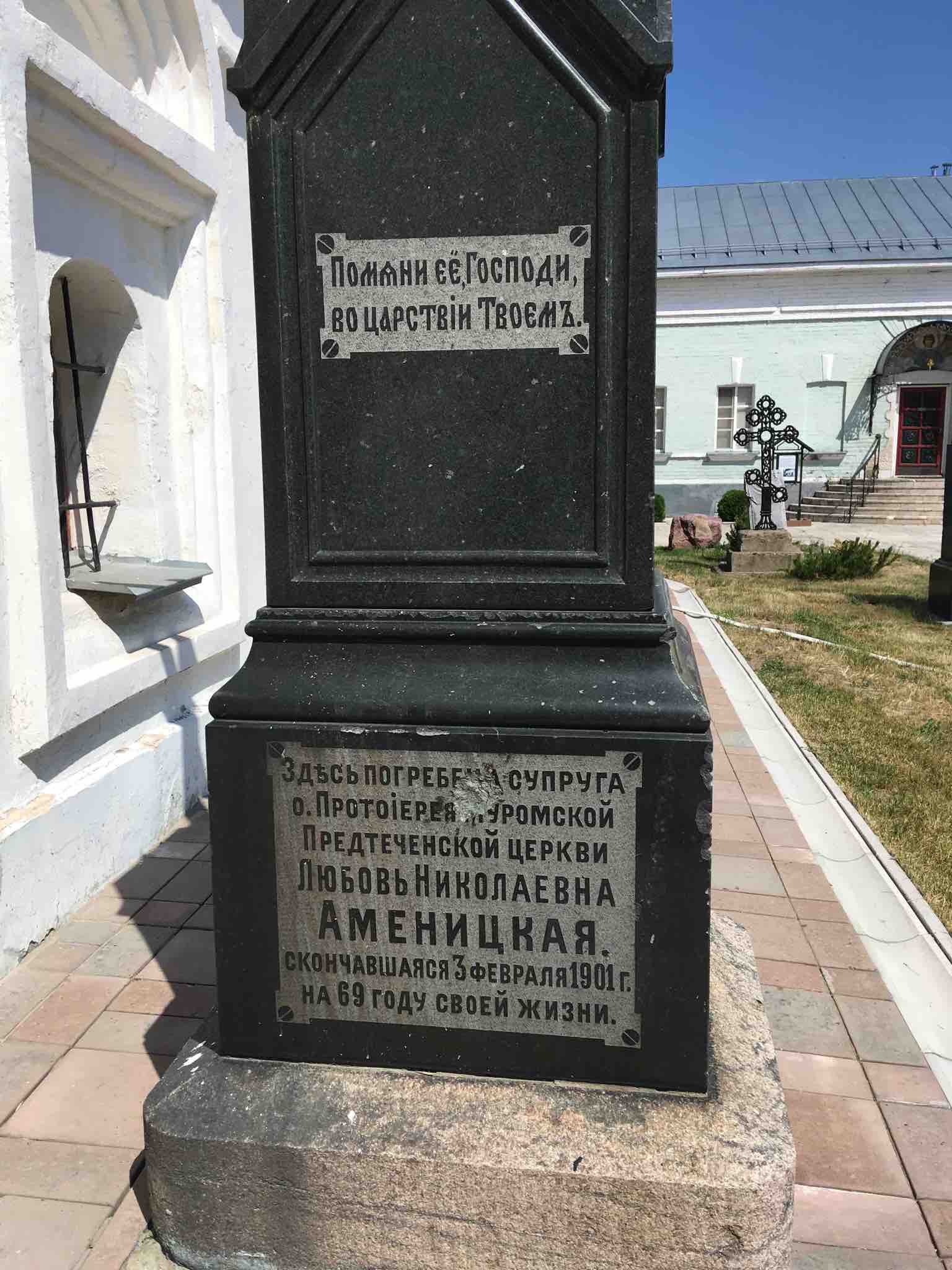 Аменицкая Любовь Николаевна
