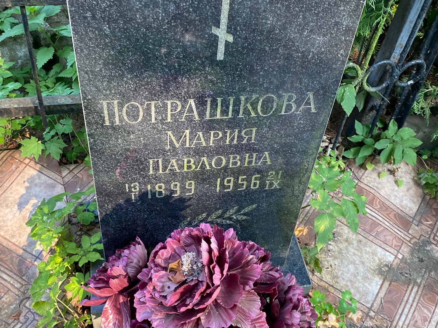 Потрашкова