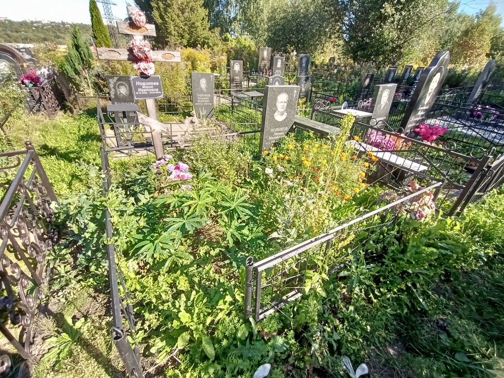 Новиков Леонид Михайлович