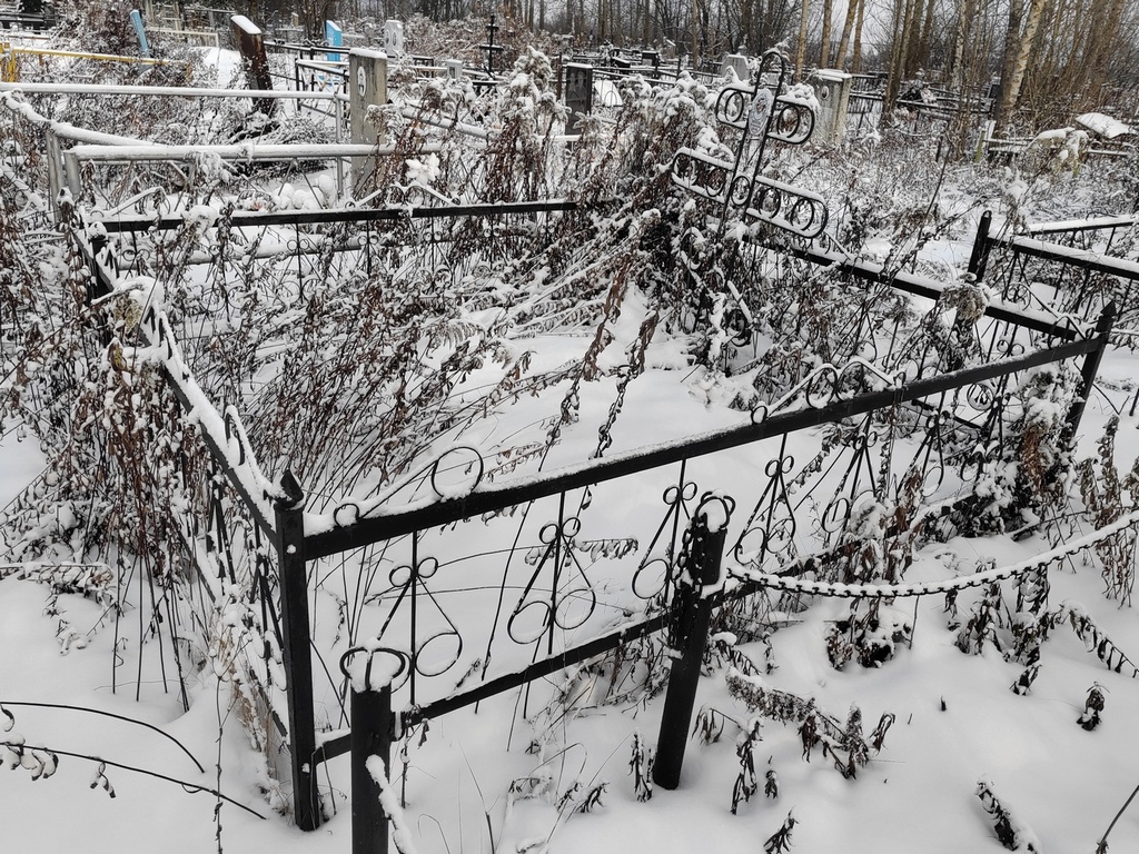 Смирнова Лия Александровна