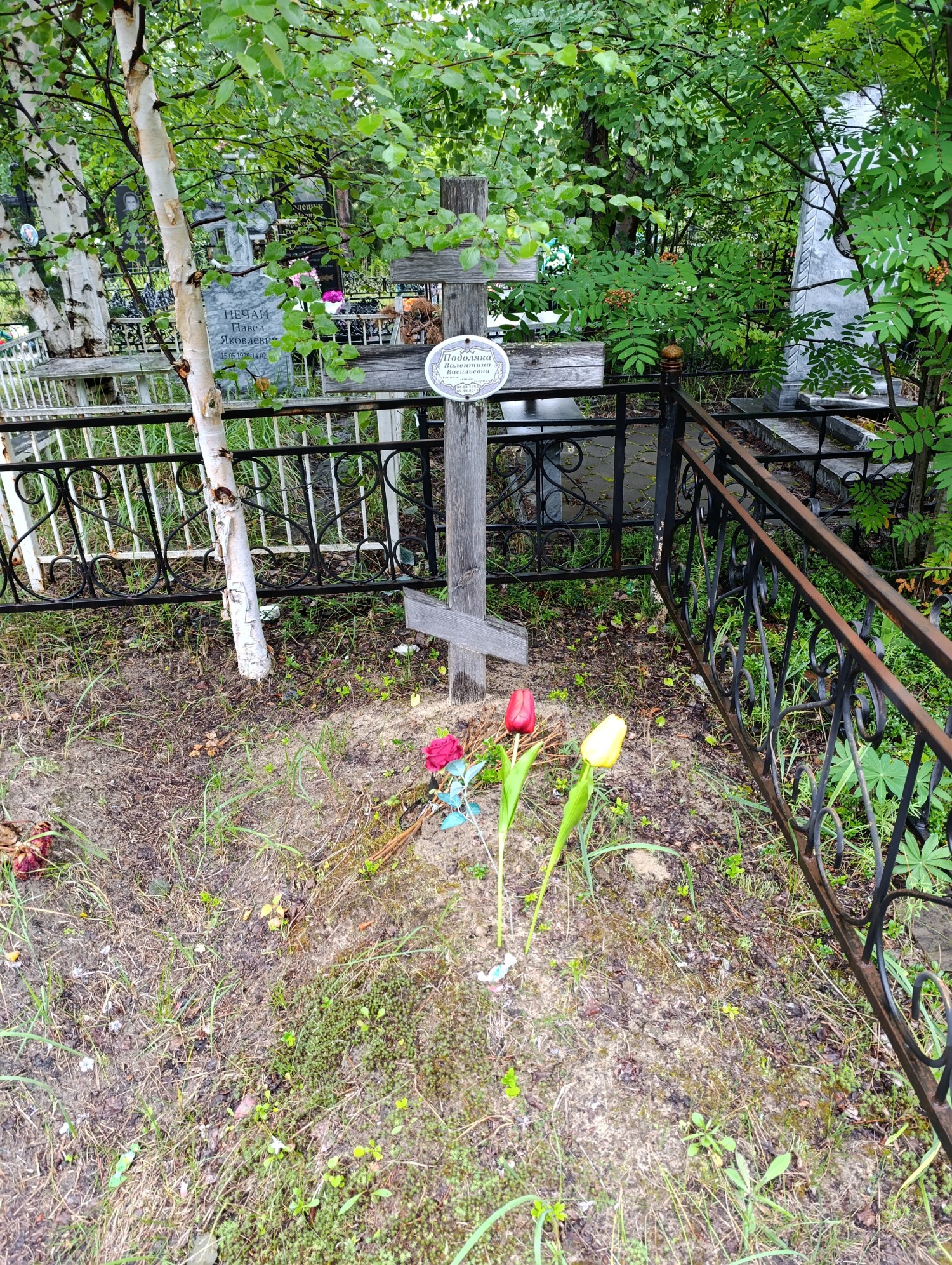 Подоляка Валентина Васильевна