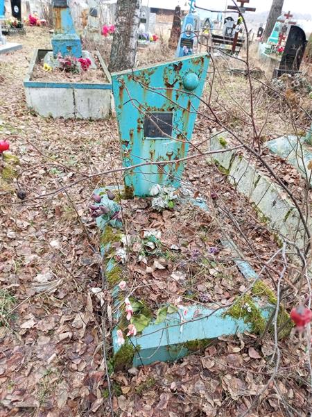 Толоконников Дмитрий Анатольевич