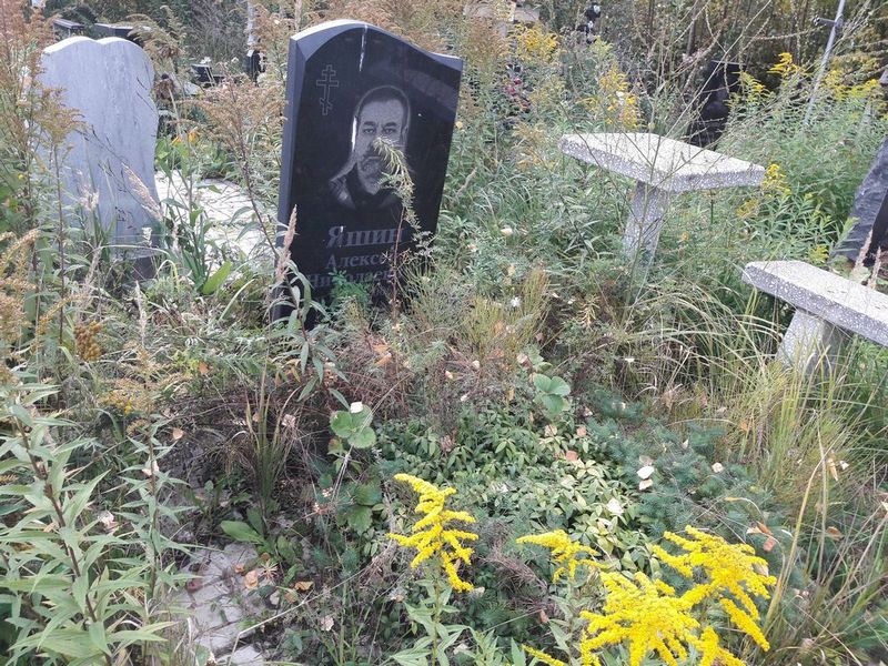 Яшин Алексей Николаевич
