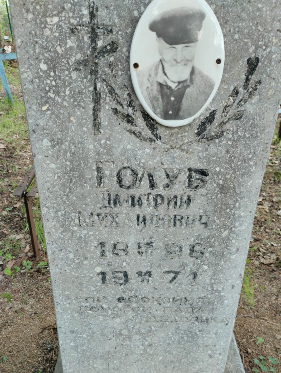 Голуб Дмитрий Михайлович