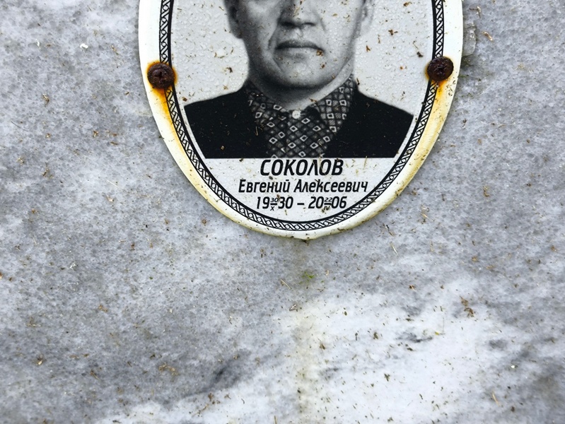 Соколов