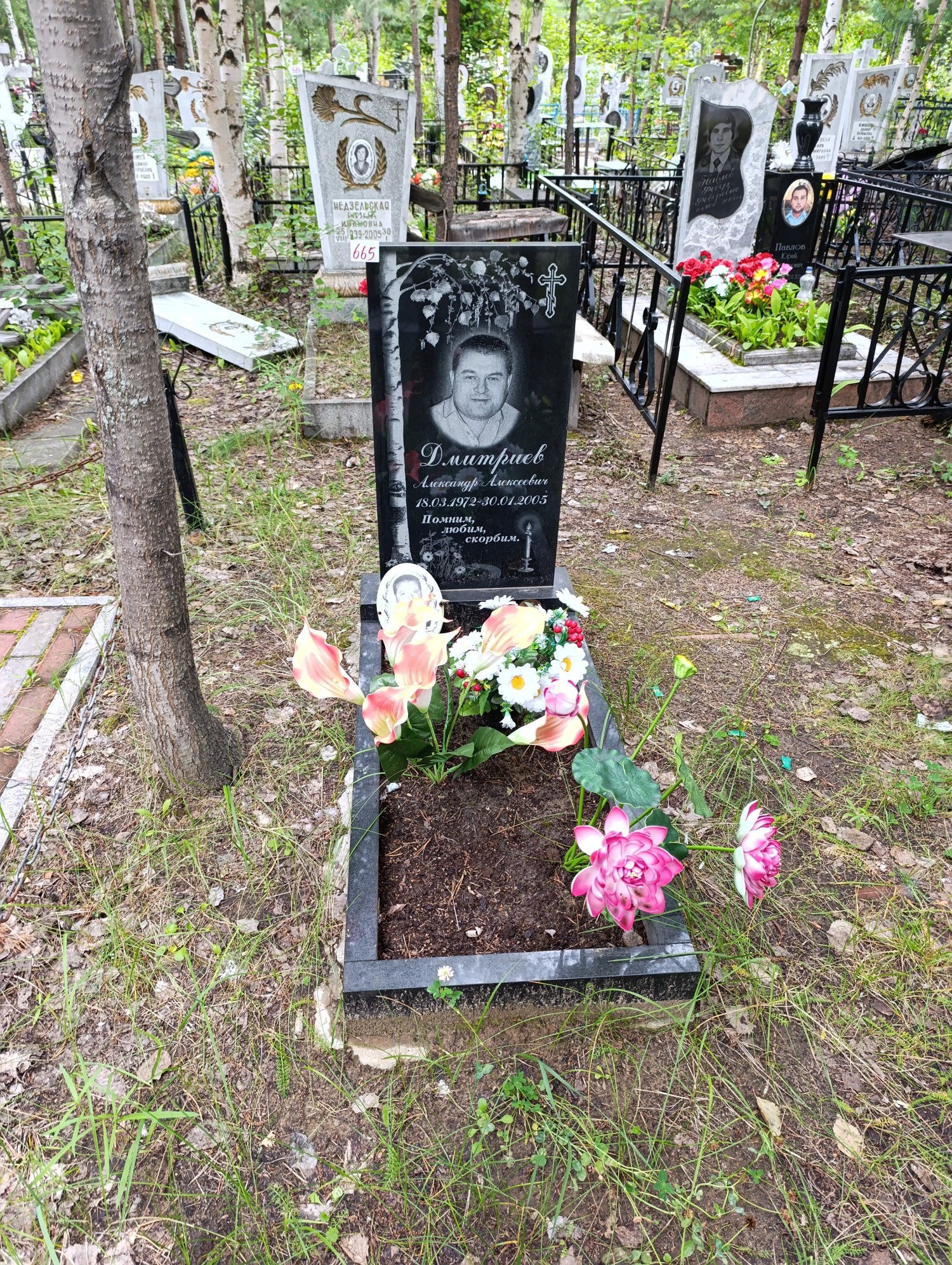 Дмитриев Александр Алексеевич