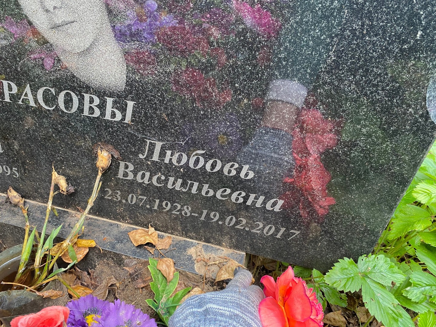 Некрасова