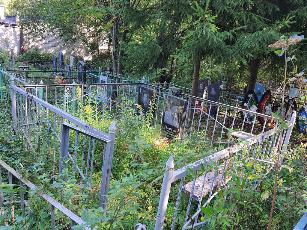 Ремизова Людмила Николаевна