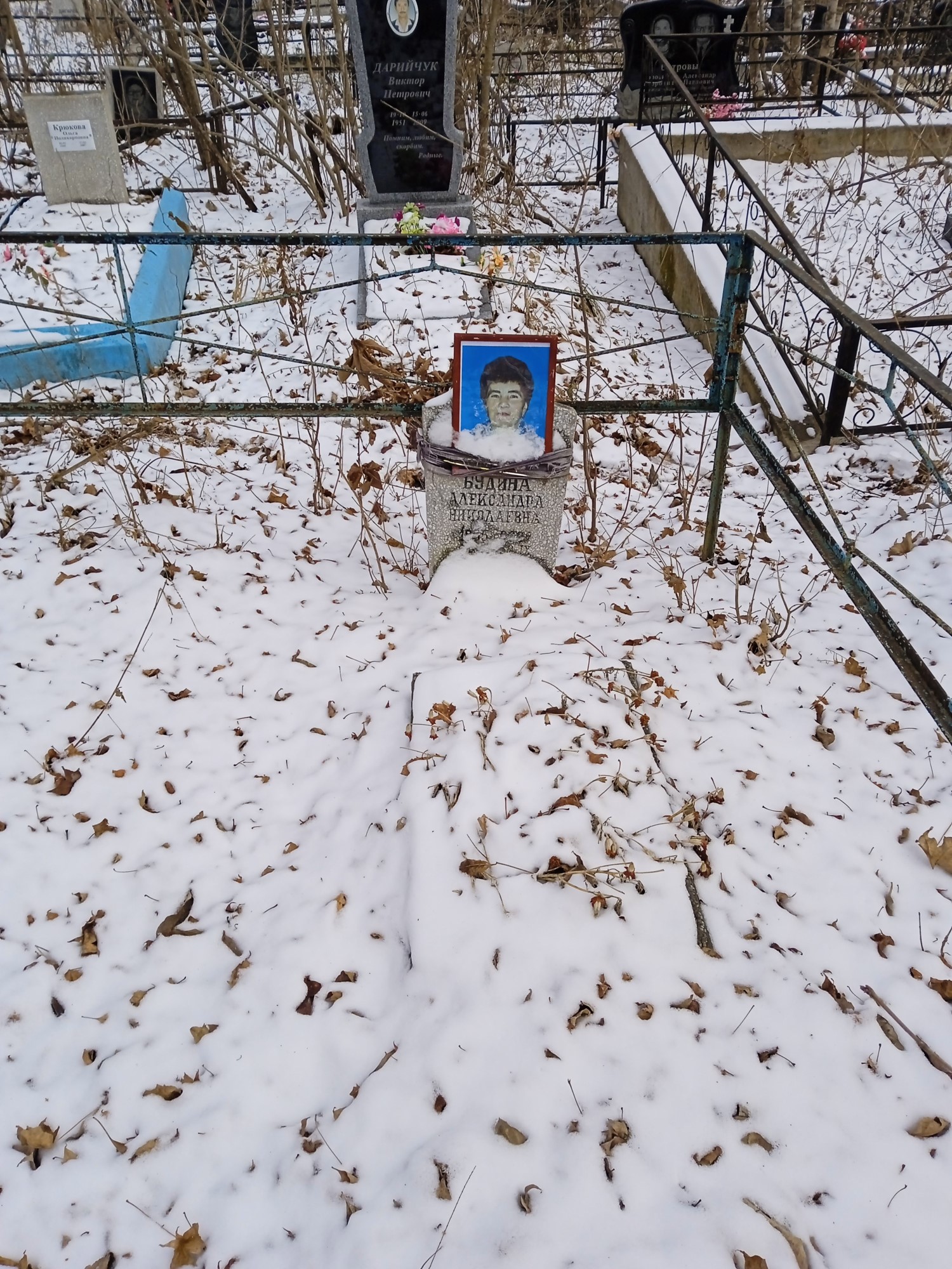 Будина Александра Николаевна