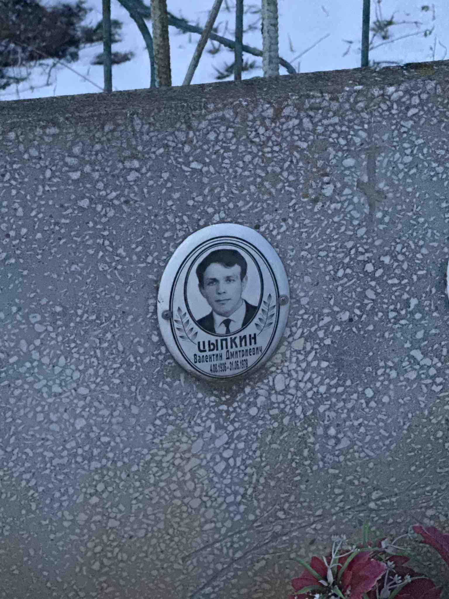 Цыпкин Валентин Дмитриевич