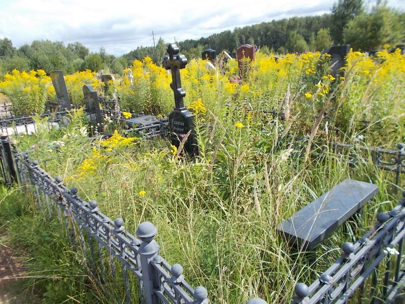 Ремизов Всеволод Александрович