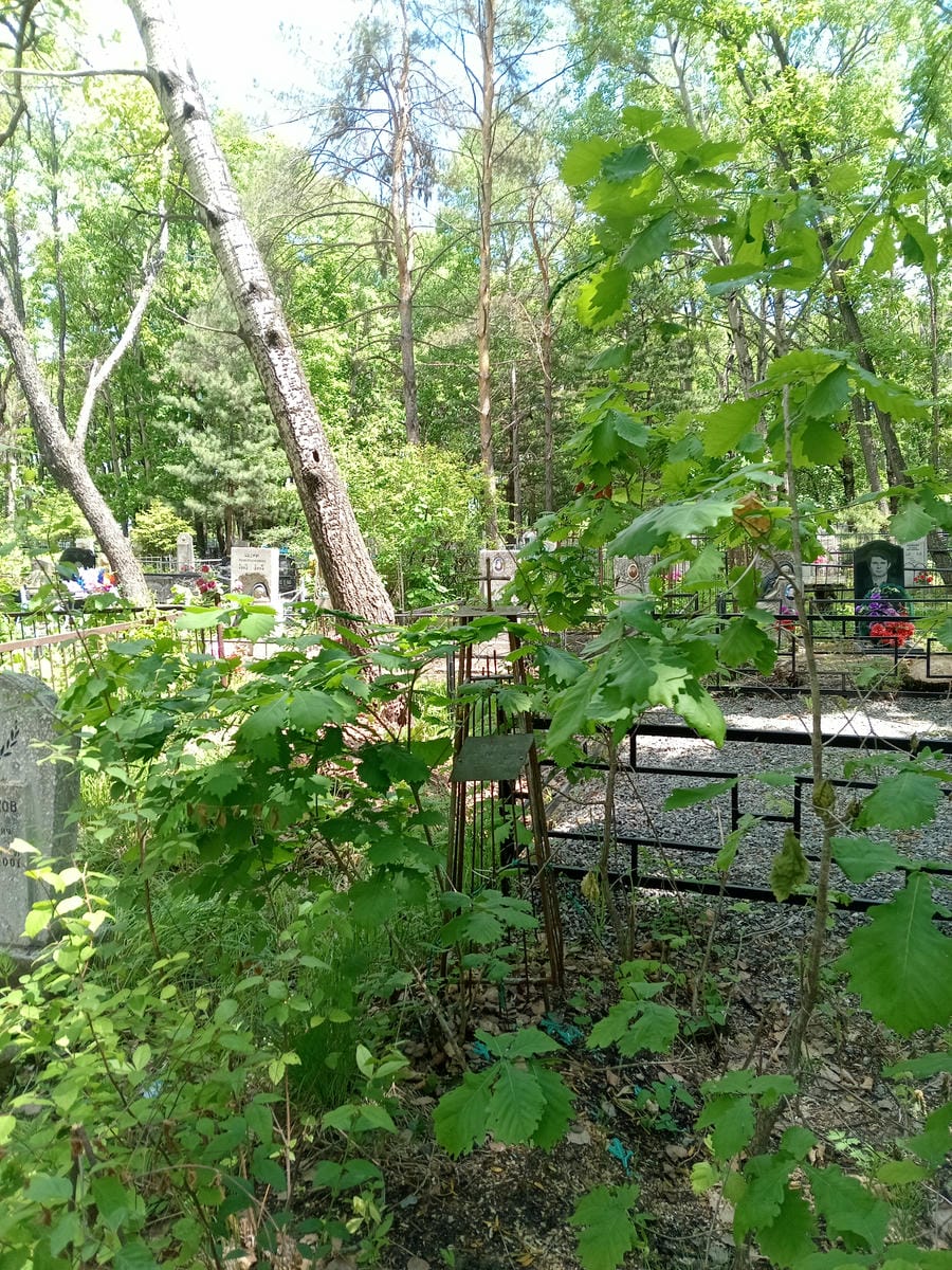Синдеева Наталья Ивановна