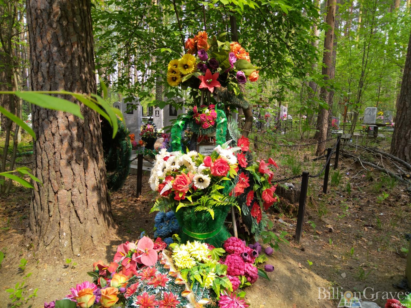Трофимов Алексей Павлович