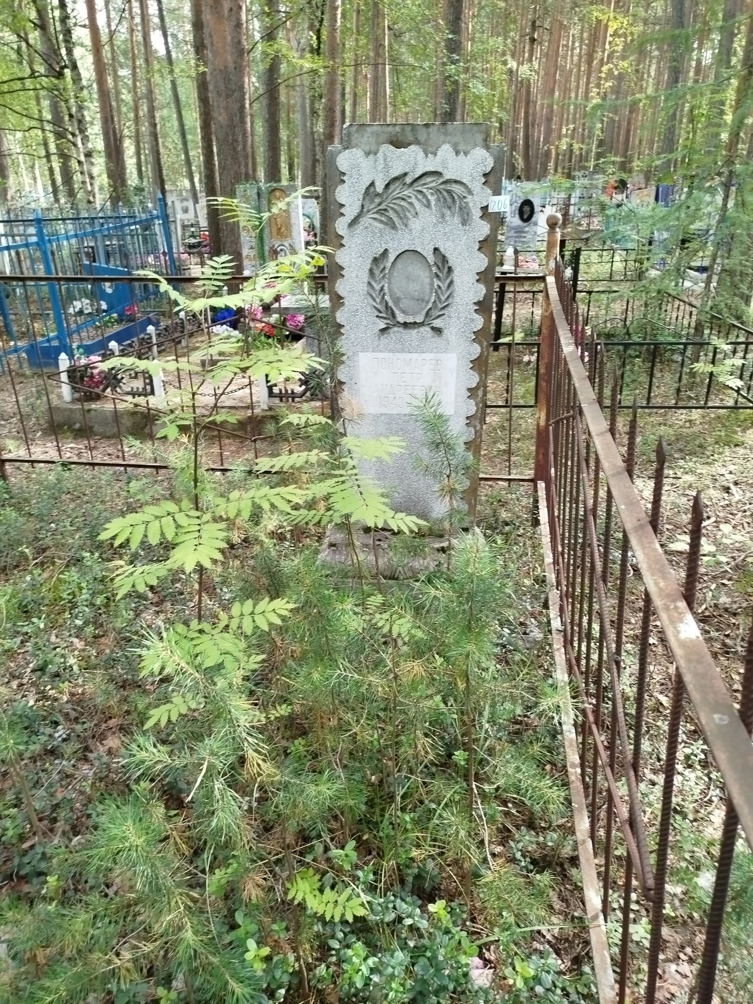 Пономарев Петр Андреевич