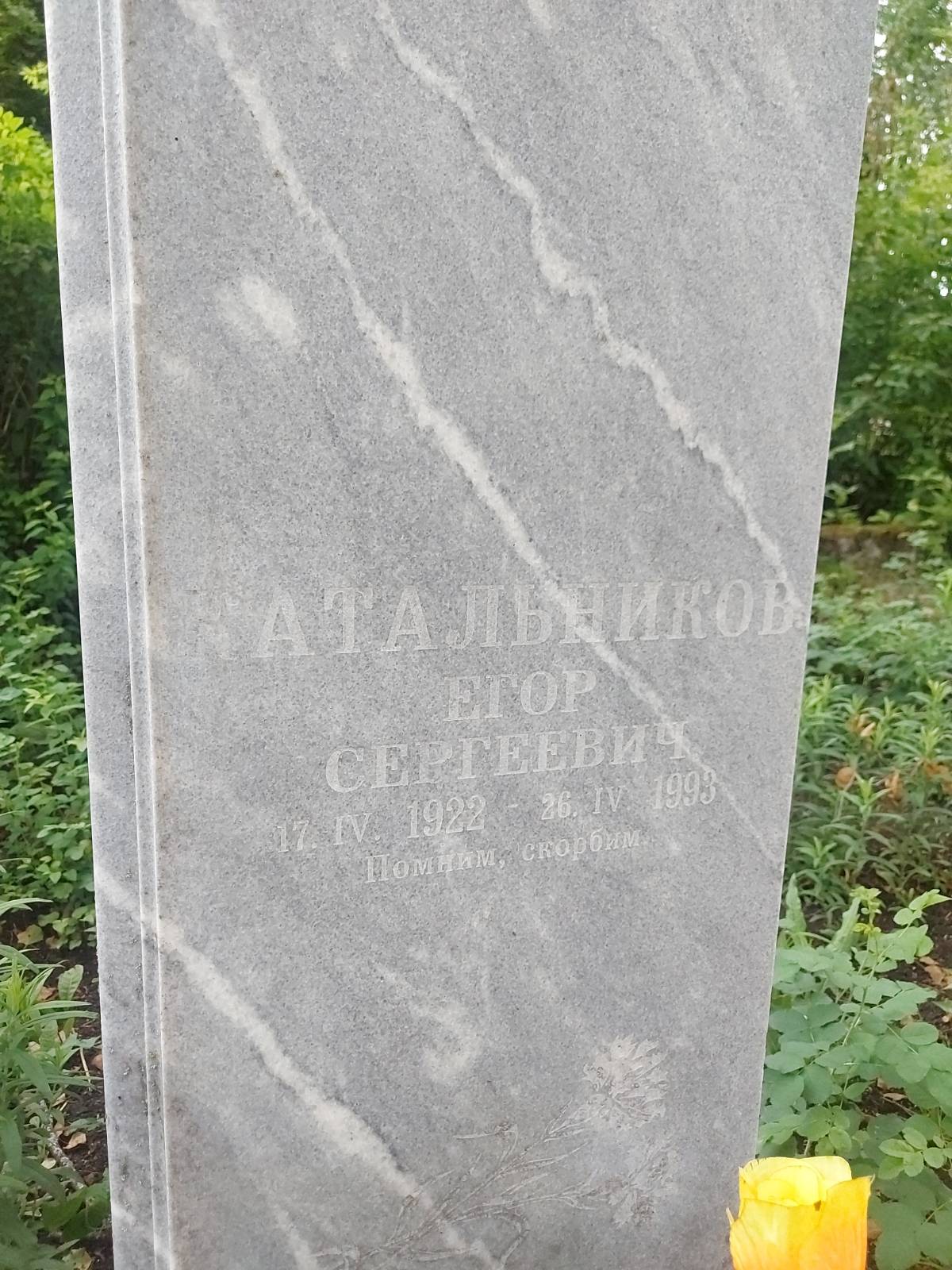 Катальников Егор Сергеевич