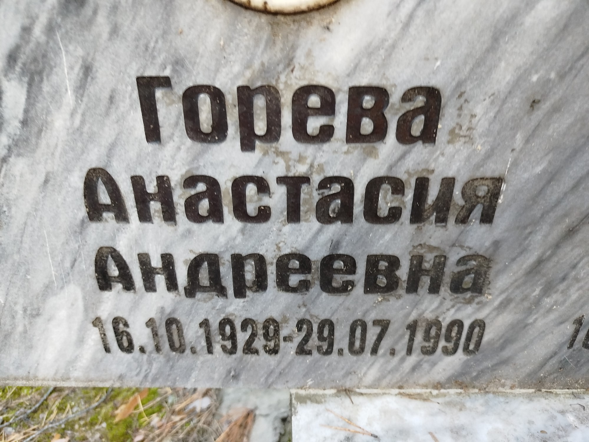 Горева Анастасия Андреевна