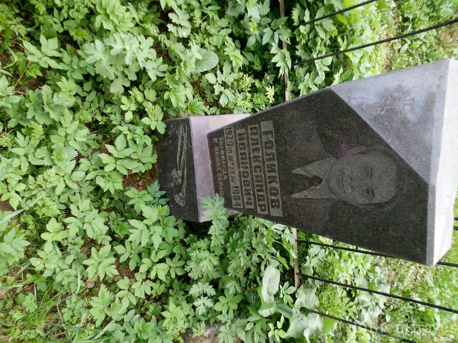 голикова зинаида федоровна