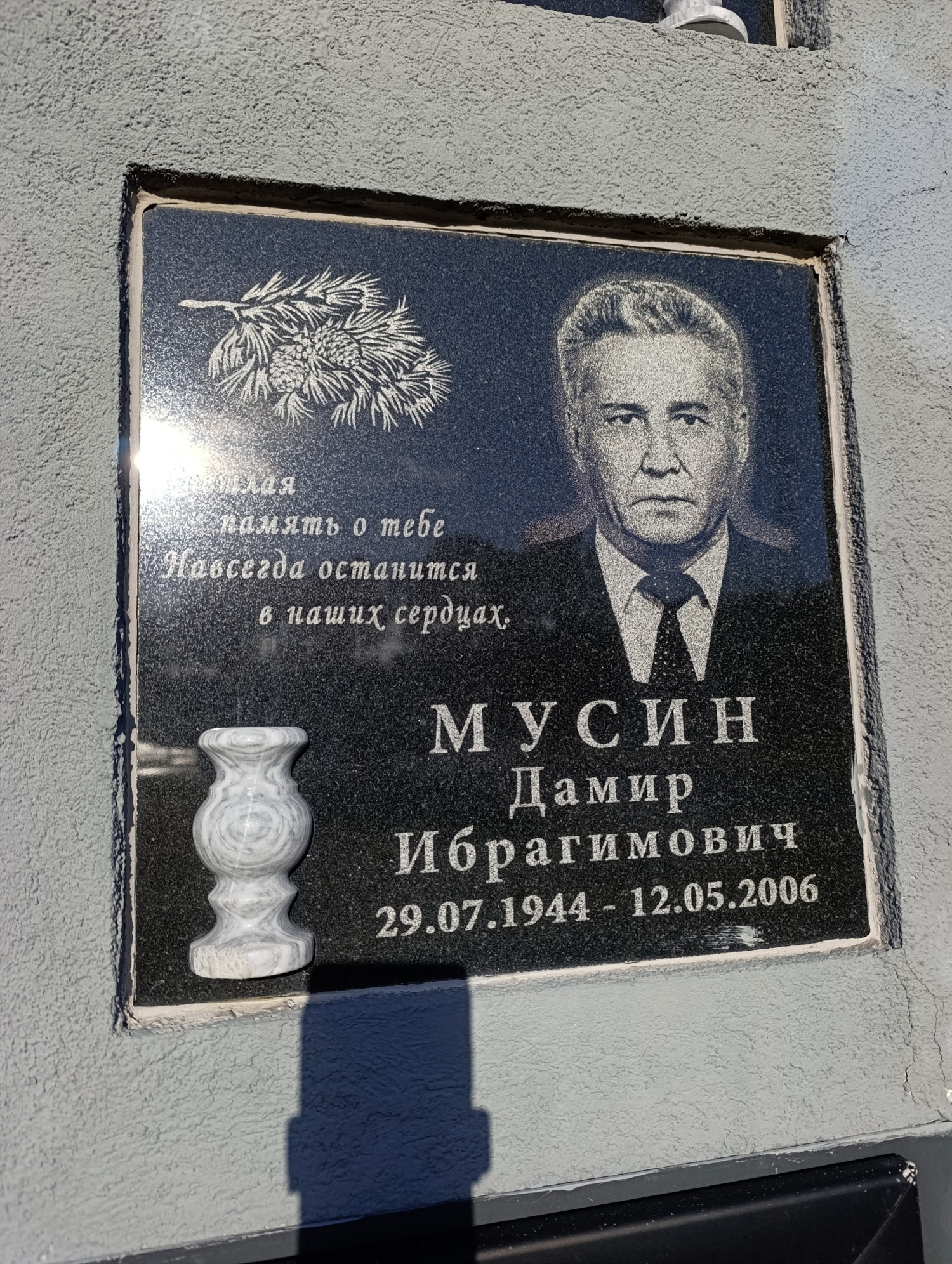 Мусихин Дамир Ибрагимович