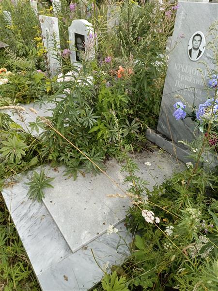 Крылосов Аркадий Петрович