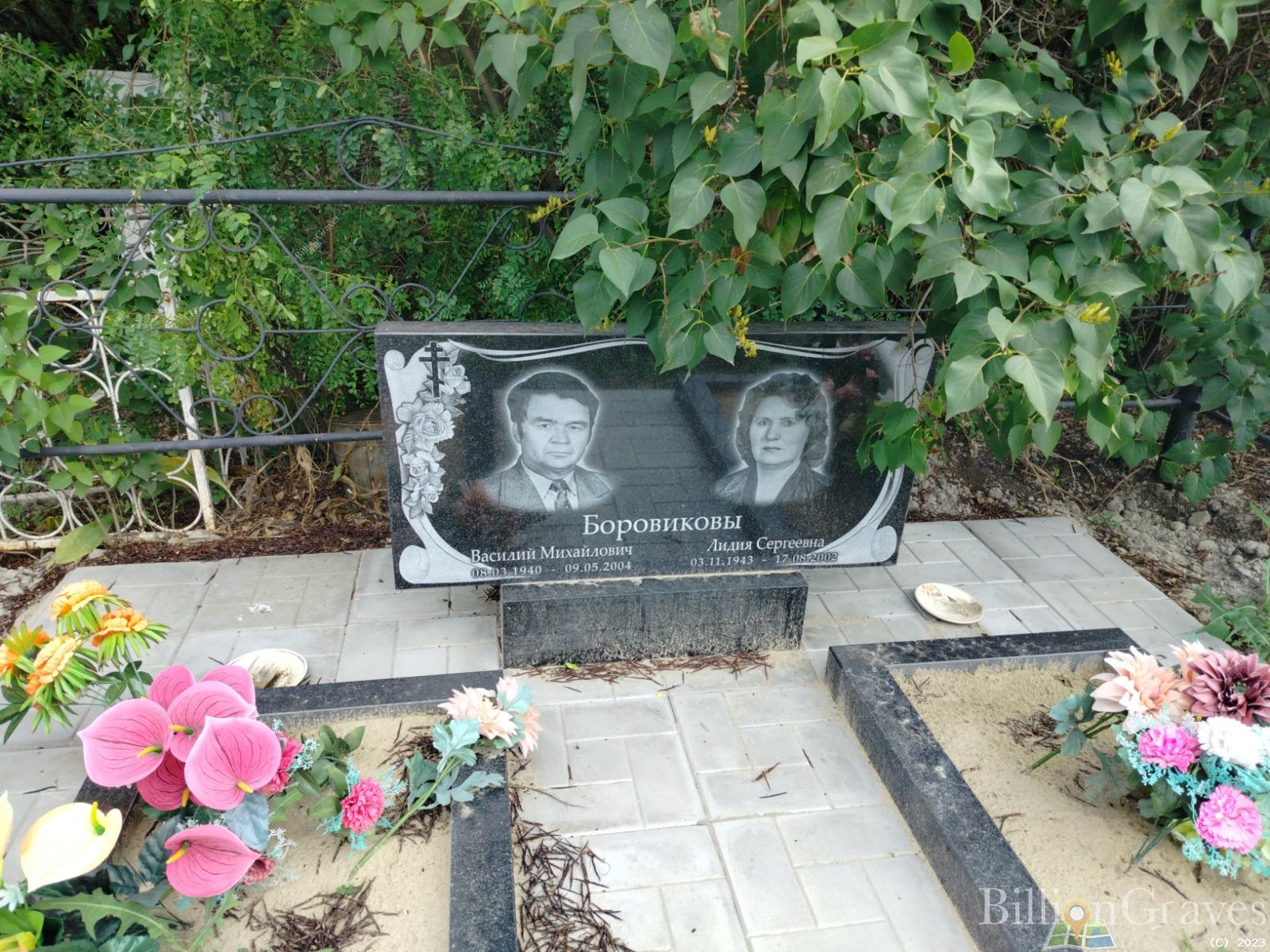 Боровиков Василий Михайлович