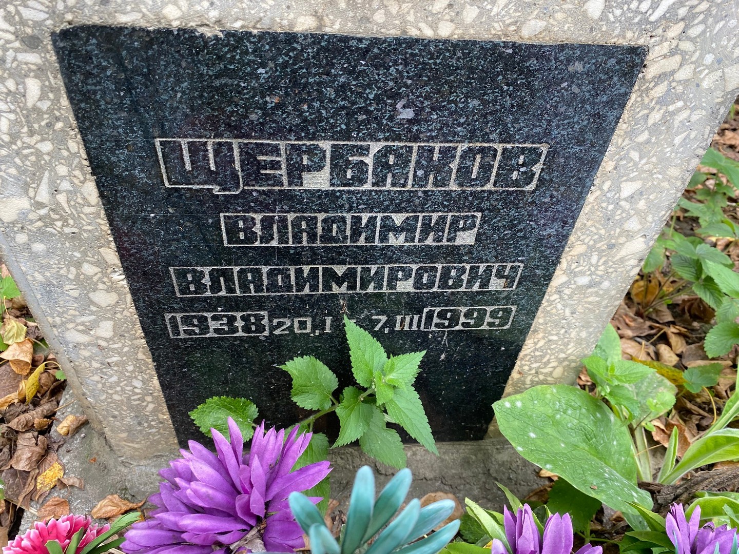 Щербаков