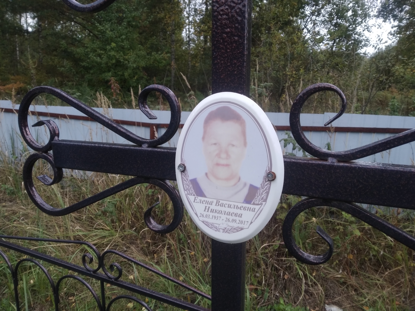 Николаева Елена Васильевна