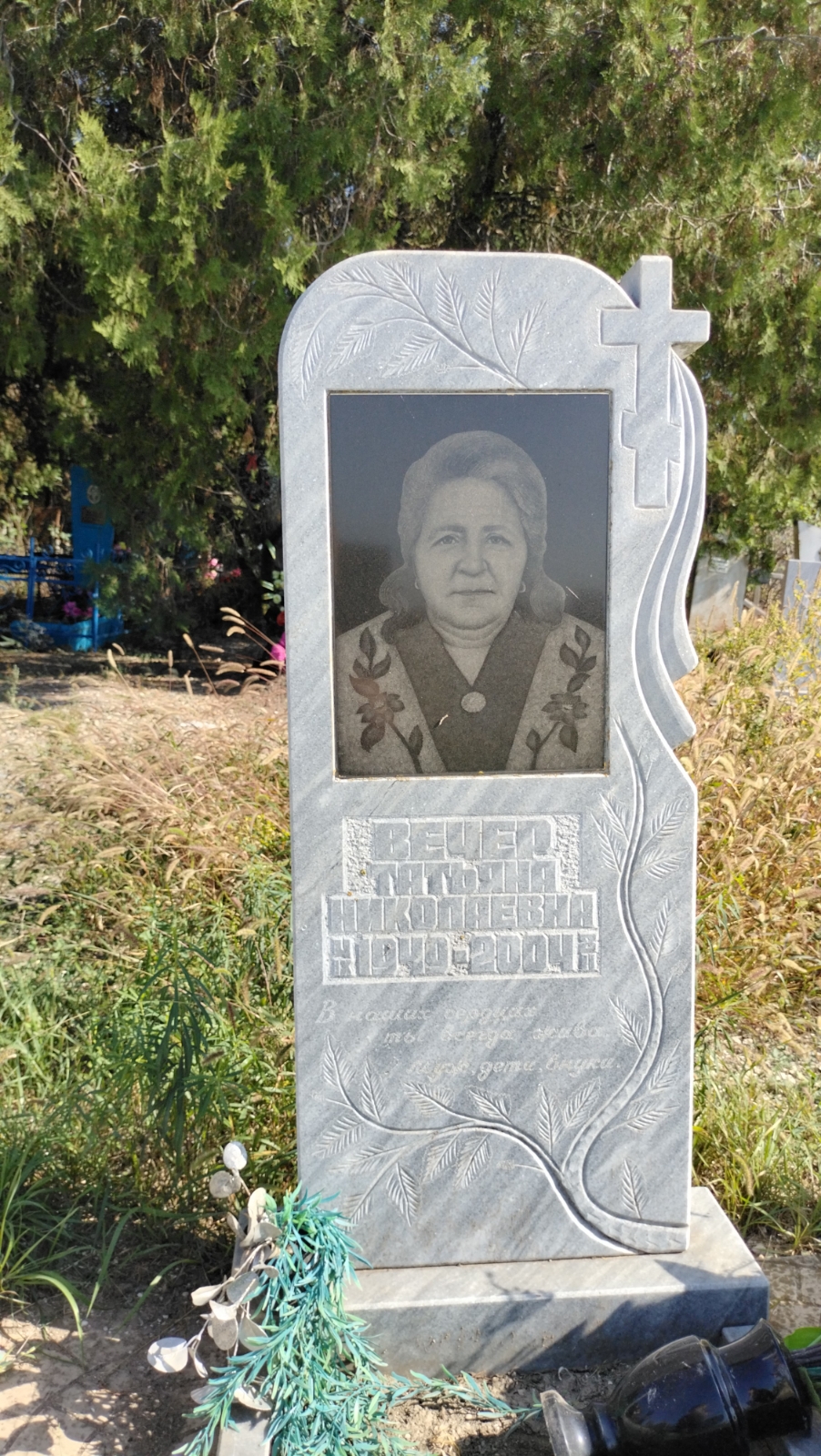 Вечер Татьяна Николаевна