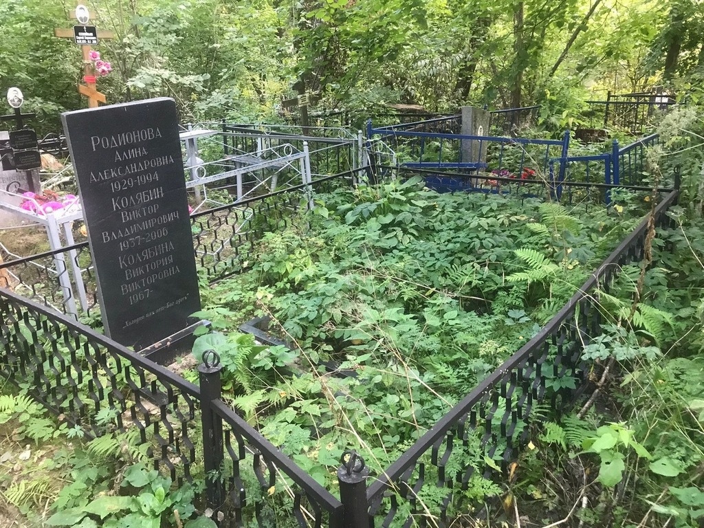 Родионова Алина Александровна