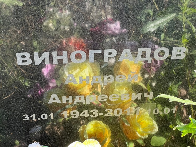 Виноградов