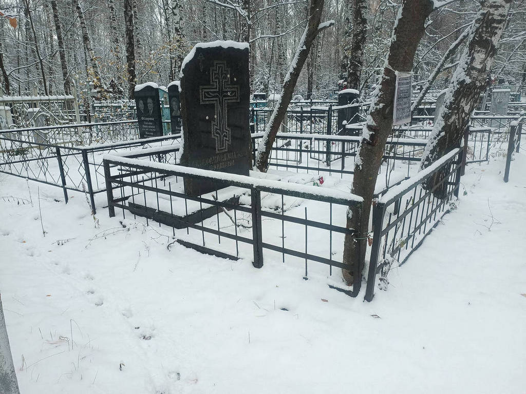 Кулибин Александр