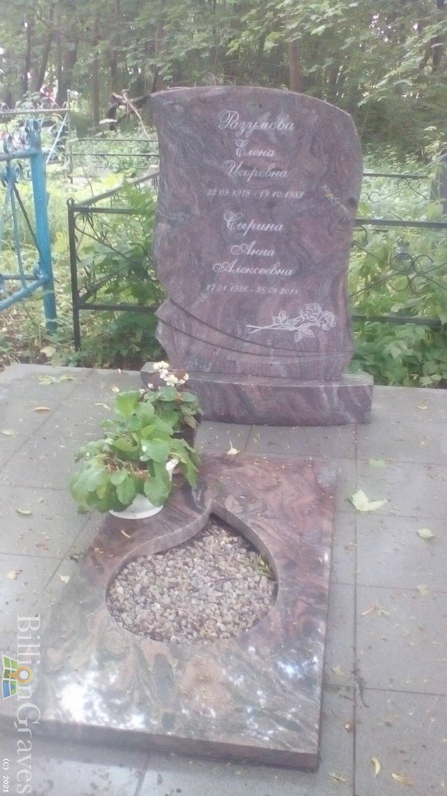Сырина Анна Алексеевна