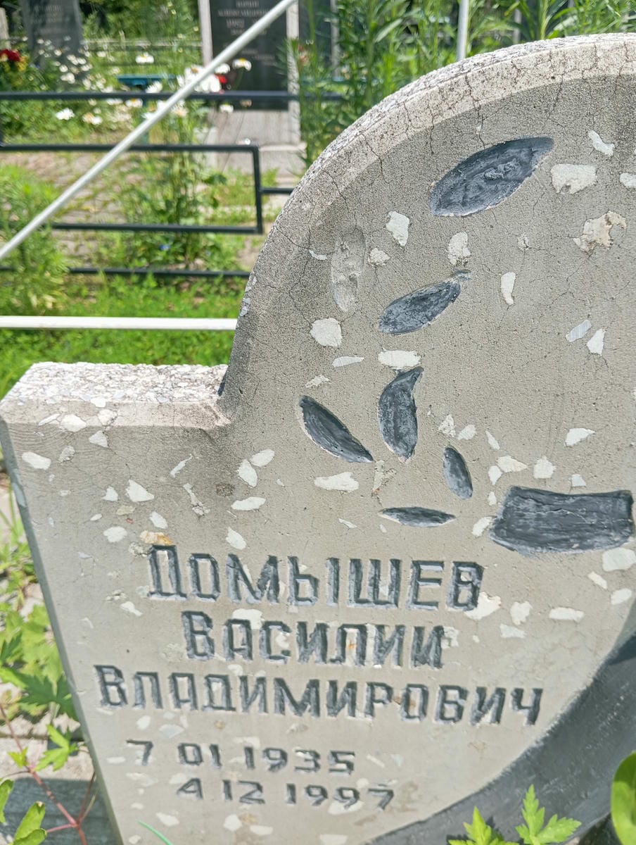 Домышев Василий Владимирович