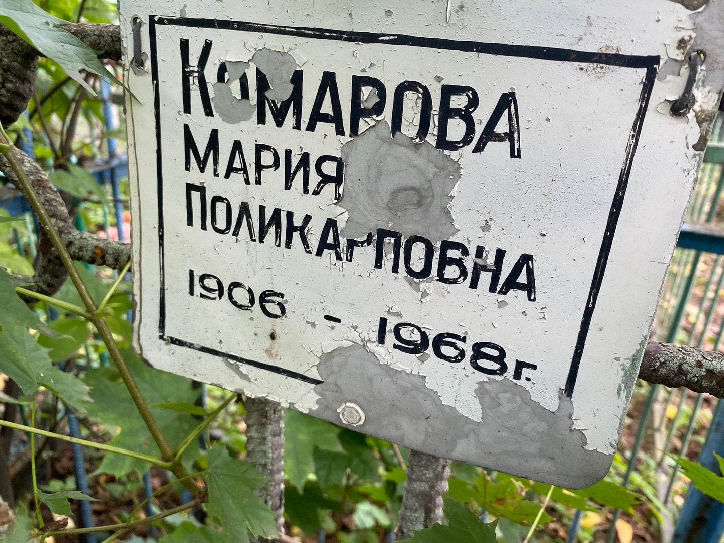Комарова