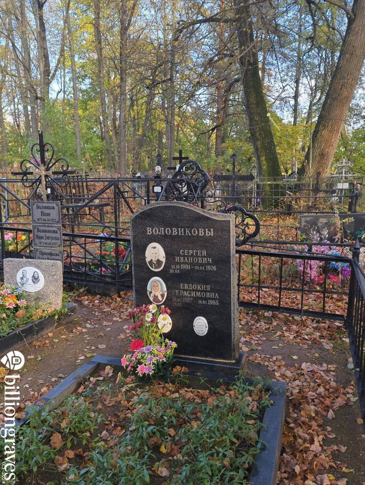 Воловикова Мария Дмитриевна
